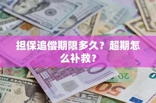 济南担保追偿期限多久？超期怎么补救？