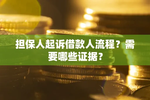济南担保人起诉借款人流程？需要哪些证据？